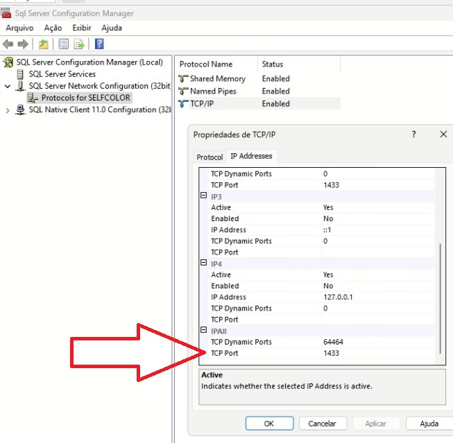 Sql server portaerrada.png