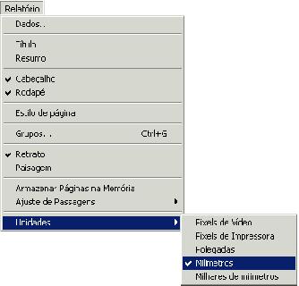 Report Builder - Passo a Passo14.JPG