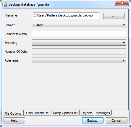 Backup-middleware-2.png
